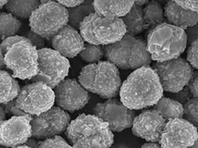 桑頓新能源SM11動(dòng)力型