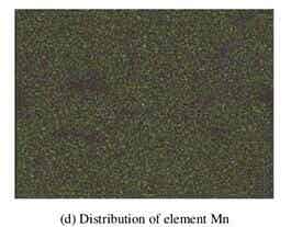 LiF改性后NCM811正極材料的SEM照片及 Ni、Co、Mn和F元素的面分布圖