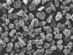 杉杉 復(fù)合石墨圖2