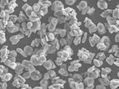 杉杉 復(fù)合石墨圖3