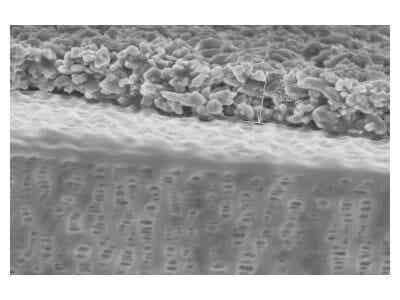惠強(qiáng)新材 C系列涂覆膜(氧化鋁)