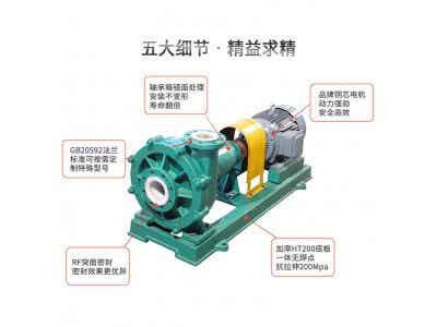 FMB-JNS耐磨耐腐砂漿泵圖2