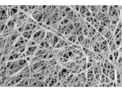 中材鋰膜基膜系列圖2