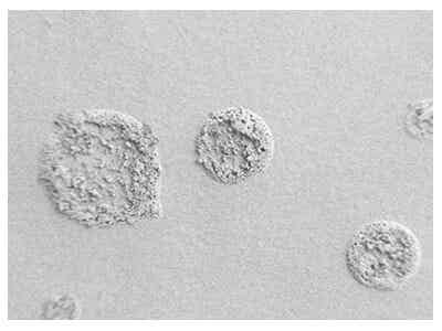 中材鋰膜PVDF噴涂涂覆隔膜圖2