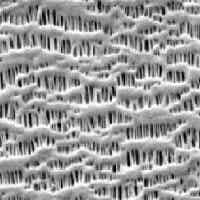 恩捷新材干法鋰電隔膜